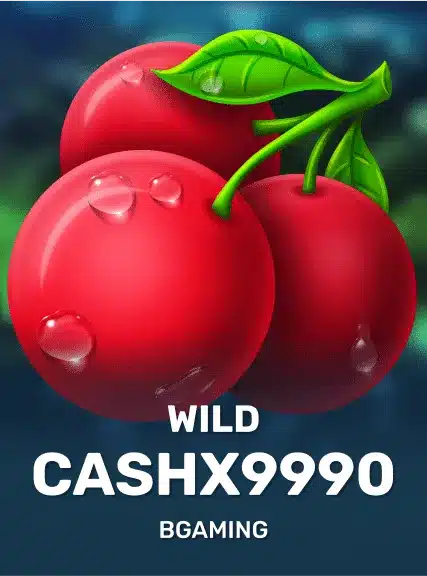 WildsCash